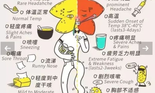 吃达英35期间能同房吗-达英35在吃药期间同房会怀孕吗网—知名的吃达英35期间会不会怀孕网站,分享在吃达英35期间可以同房吗知识